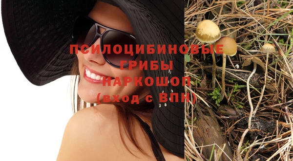 гашик Абдулино