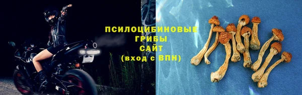 скорость Нефтекумск