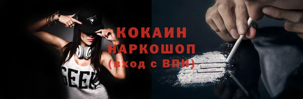 бошки Анива