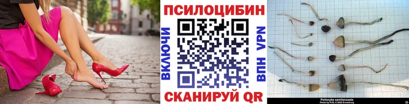 Галлюциногенные грибы MAGIC MUSHROOMS  Североморск 